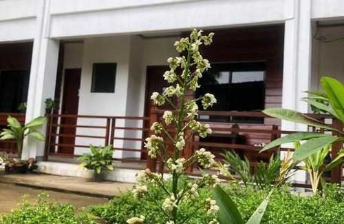 Siquijor Apartamento | MLB Apartment
