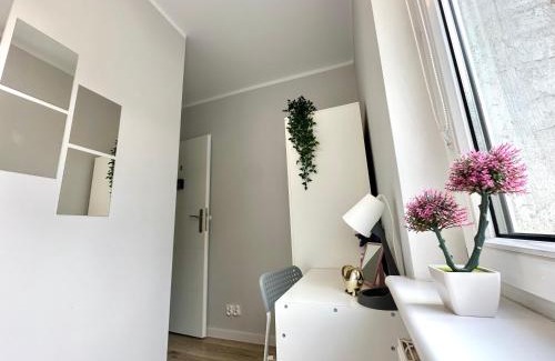 Aniolki Casa | MMRent Mary's Room