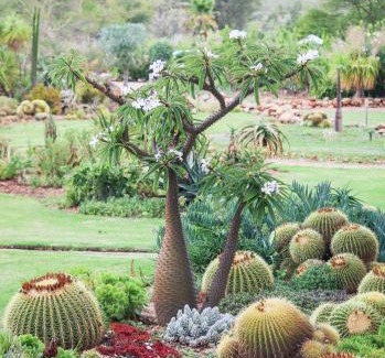 Langeberg Casa | Mo & Rose's Nature Retreat