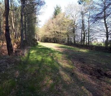Paimpont Casa | Mobil home au coeur de Brocéliande