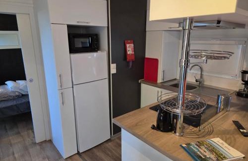 Cadenet Otro | Mobil-home de 5 personnes