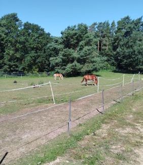Selmsdorf Apartamento | Mobil House auf Tierschutz Landhof inmitten der Natur bei Lübeck