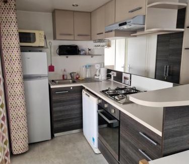 Ronce-les-Bains Otro | Mobile home 210 Siblu La Pignade Fun pass non inclus