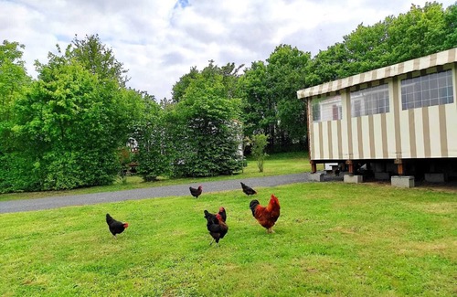 Maulevrier Casa | Mobile home near the Puy du Fou !