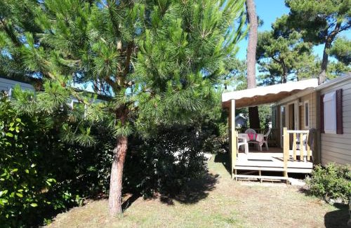Les Mathes Otro | Mobile Home vue baie dans une forêt de pins - La Palmyre