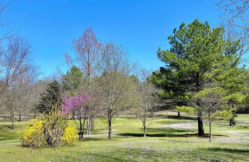 Plainview Cabina | Modern 2 bed cabin 2 miles from Lake Nimrod and within 30 mins of 4 state parks