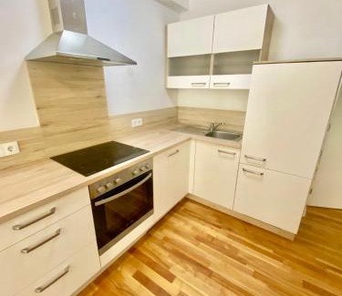 Grinzing Apartamento | Modern 2 Bedroom Apartment