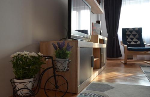 Pitesti Apartamento | Modern and Cozy Apartment