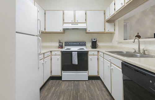 Winston - Salem Apartamento | Modern Apartment in Prime Location (ID1234X500)