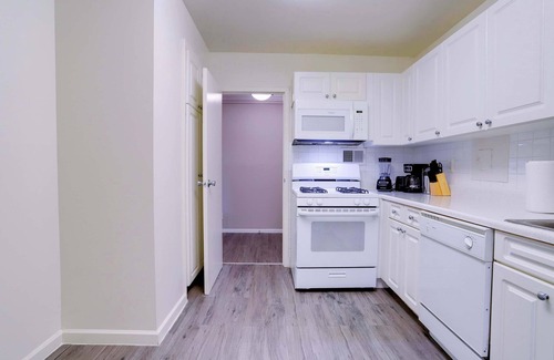 Crystal City Apartamento | Beautiful 2 BR Apt At Crystal City With Gym