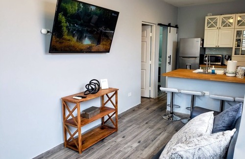 Santurce Apartamento | Modern Apt in Santurce's Historical Art District - San Juan Puerto Rico