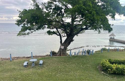 Ocho Rios Apartamento | Modern Beachfront Condo with Stunning Sea Views