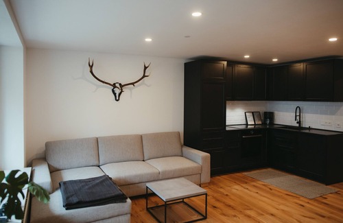 St. Blasien Apartamento | Modern Black Forest loft with mountain views - ski lift, bathing lake & thermal spa