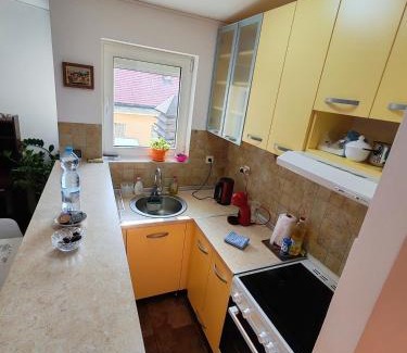 Stari Grad Apartamento | Modern City Center Apartment - Rajiceva Loft
