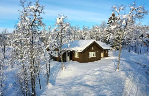 Beitostolen Chalet De Esquí | Modern Comforts, and Ski Access
