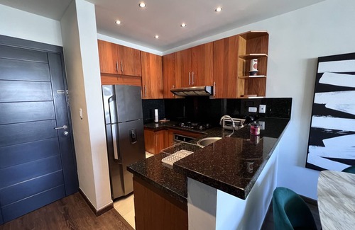 Downtown Santo Domingo Apartamento | Modern Condo in Piantini 30 minutes to beach
