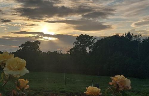 Ballymurn Apartamento | Modern Countryside apartment Killmallock Lodge