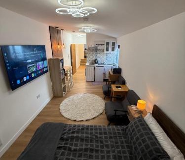 Bow Casa | Modern East London Apartment with Private Studio & Guest Rooms-Near Bow, Victoria Park