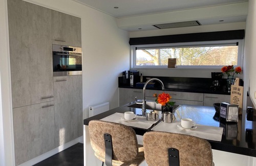 Biddinghuizen Chalet De Esquí | Moderna villa ecológica con dos baños, en un parque de vacaciones cerca de Veluwemeer
