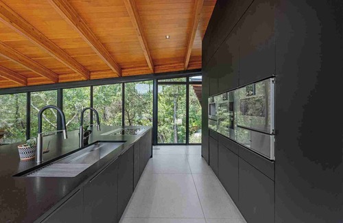 Austin Casa | Wander Falling Leaves