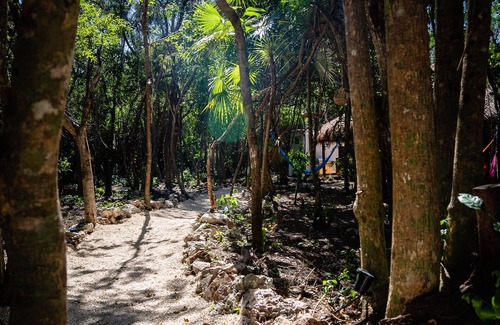 Akumal Cabina | Modern house in a jungle with private outside jacuzzi