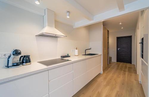 Marijampole Apartamento | Modern Loft Apartment with free parking No 1