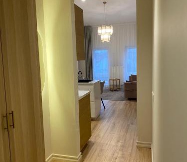 Marijampole Apartamento | Modern Loft Apartment with free parking No4