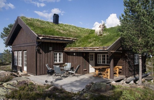 Flesberg Cabina | Modern log cabin on Blefjell