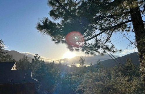 Pine Mountain Club Cabina | Modern Mountain Forest Cabin