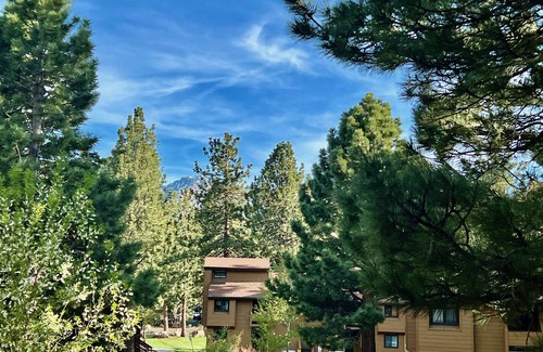 Mammoth Lakes Condominio | Montaña moderna Get-Away-Wildflower 1 BR + Condominio Loft / 2 BA