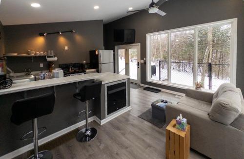 Nimitz Apartamento | Modern Nimitz Cabin on 19 Acres with Fireplace and WiFi