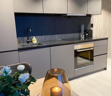 Henningsvaer Apartamento | Modern One-Bedroom Apartment