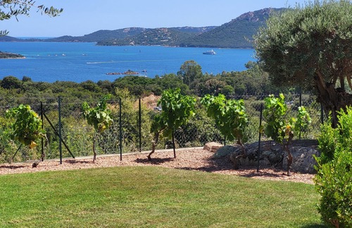 Porto-Vecchio Villa | Villa moderna con vista al mar, piscina, servicio completo, llegada domingo salida