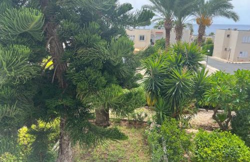Pegeia Apartamento | Modern Seaview Townhouse in Coral Bay