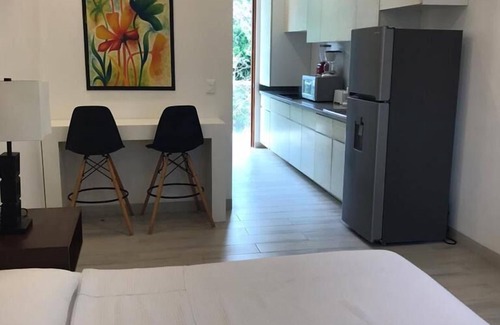 Puerto Aventuras Condominio | Modern Studio Puerto Aventuras 202