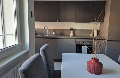 Viganello Apartamento | Modern two-room apartment 15 minutes from Ciani Park (Urban 10)
