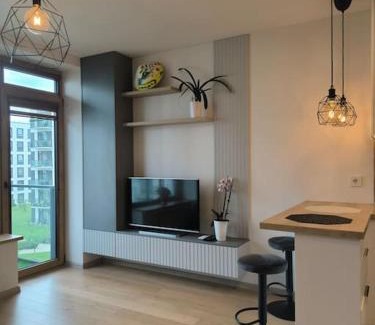 Vilnius Apartamento | Modern Urban Retreat & Private Parking
