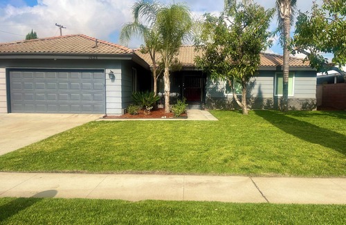 Rialto Casa | Modern with a Splash of Fun