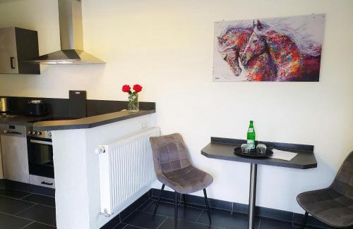 Munstermaifeld Apartamento | Moderne Ferienwohnung Black Beauty auf idyllischem Reiterhof nähe Burg Eltz