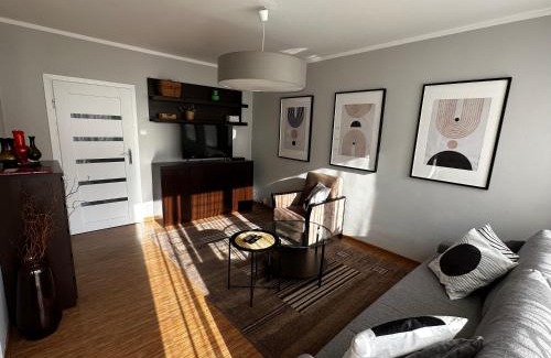 Katowice Apartamento | Modrzewiowa