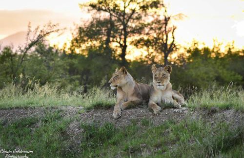 Hoedspruit Casa | Mohlabetsi Self Catering Bush Lodge