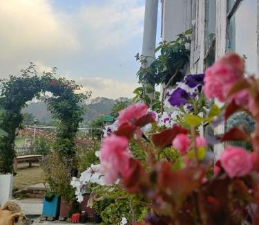 Sukha Casa | Mohraj home stay