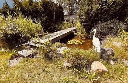 Wieck auf dem Darss Apartamento | Moin Moin - Welcome to the apartment "Skipper's Kabine"