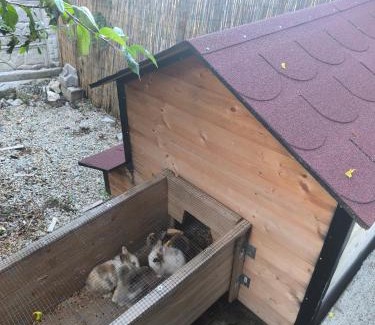 Mionica Apartamento | Moja dedovina