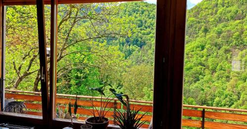 Kambresko Apartamento | Moksha Slovenia