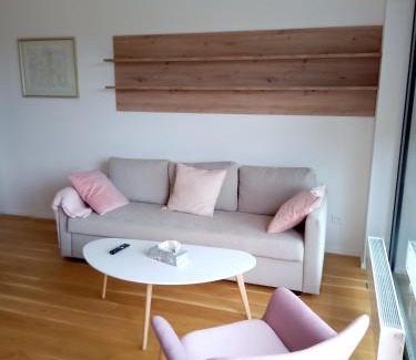 Lipno nad Vltavou Apartamento | Molo Lipno Rezidence