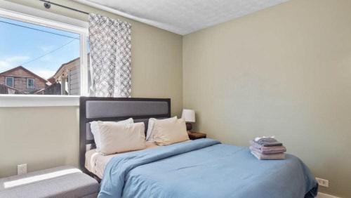 Leadville Casa | Mom's House - 1 block from downtown & Hot Tub
