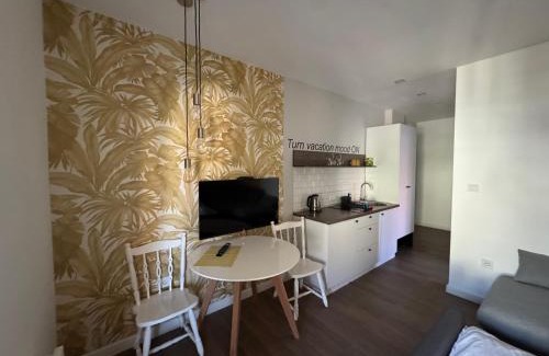 Golubac Casa | Moms house