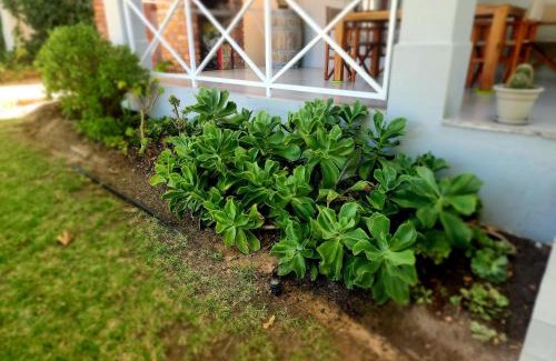 Cape Winelands Apartamento | Mon Rêve Estate