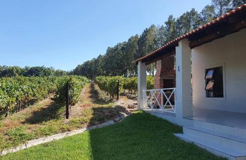 Cape Winelands Apartamento | Mon Rêve Estate